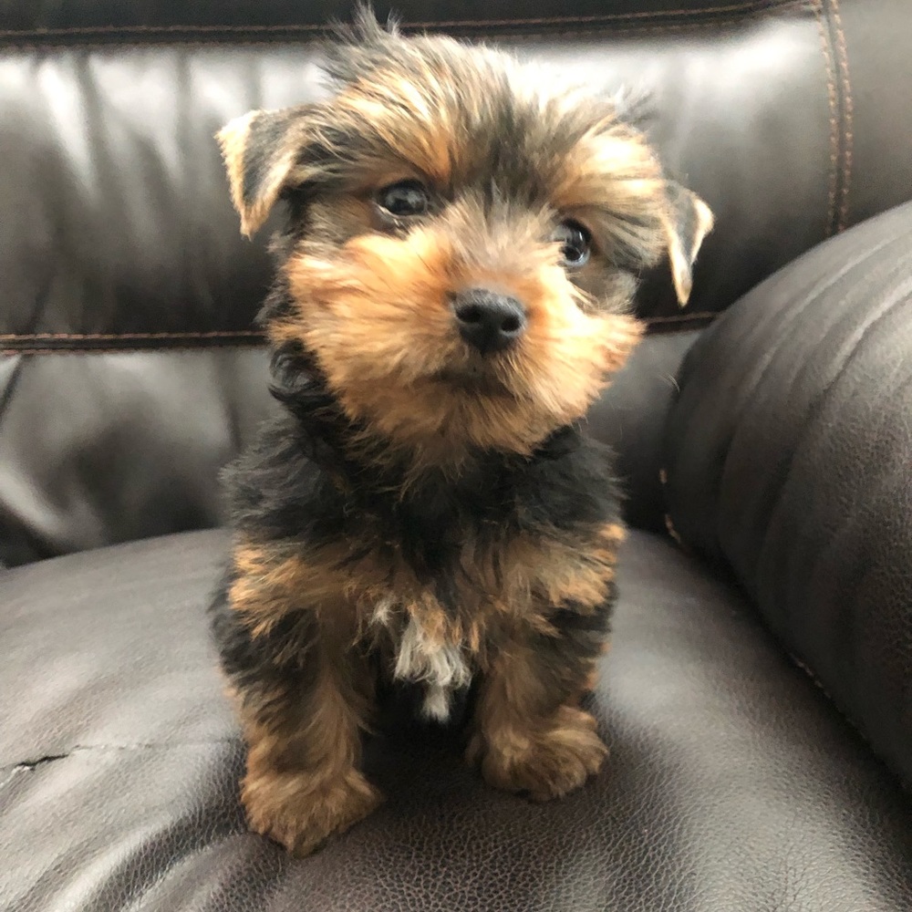 Meet your Posher, Esteban